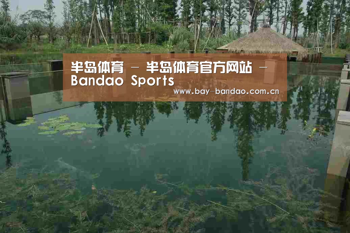案例展示二(图1)