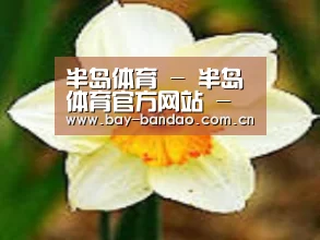 产品名称四