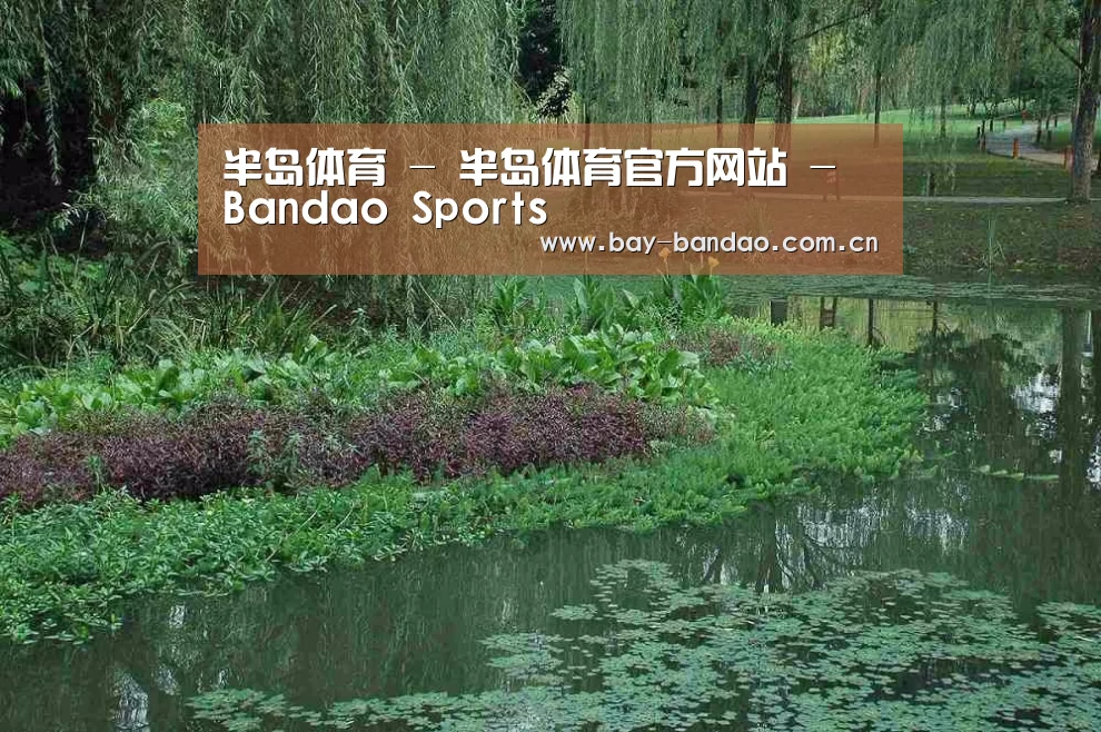 案例展示一