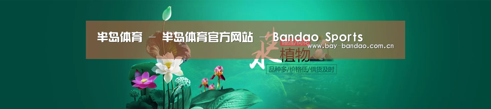 鲜花水草花卉网站模板